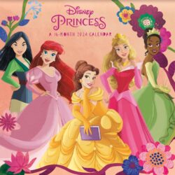 Disney Princess Calendar (12 x 12)