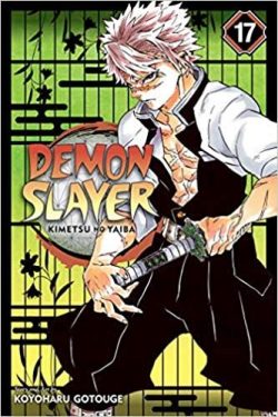Demon Slayer: Kimetsu No Yaiba, Vol. 17