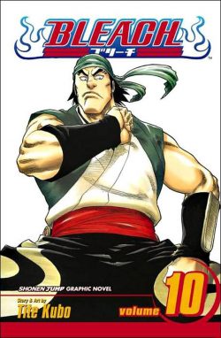 Bleach, Vol. 10