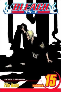 Bleach, Vol. 15