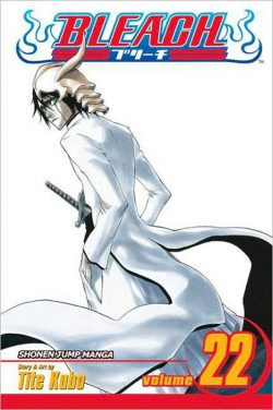Bleach, Vol. 22