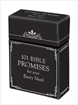 101 Bible Promises for Your Every Need (50 Dbl. Sided Cards)