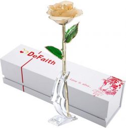 24k Gold Dipped Real Rose (Ivory)