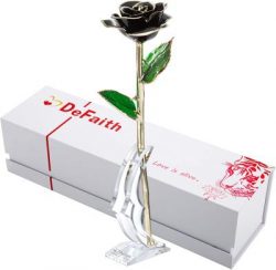 24k Gold Dipped Real Rose (Black)