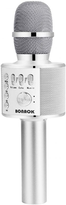 Wireless Karaoke Microphone/Speaker/Recorder - SILVER
