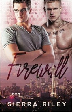 Firewall (Gay Novel)