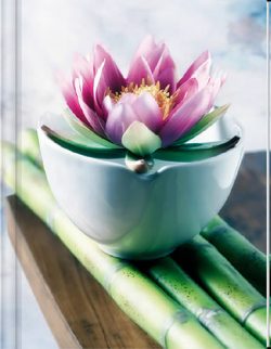 Lotus Notebook (LG) - Blank Pgs/1 Ruled Sheet (HC)