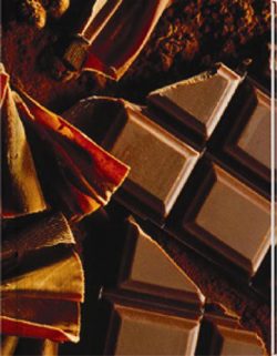 Chocolate Notebook (LG) - Blank Pgs/1 Ruled Sheet (HC)