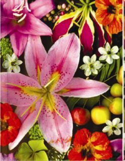 Flowers Notebook (LG) - Blank Pgs/1 Ruled Sheet (HC)