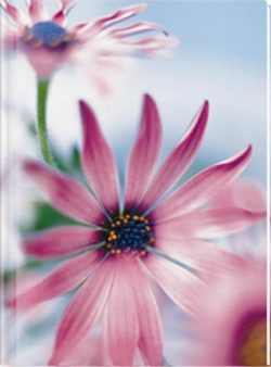 Petals Notebook (LG) - Blank Pgs/1 Ruled Sheet (HC)
