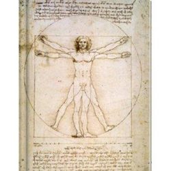 Da Vinci Notebook (LG) - Blank Pgs/1 Ruled Sheet (HC)