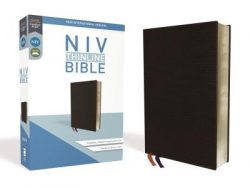 NIV, Thinline Bible, Bonded Leather, Black, Red Letter Edition