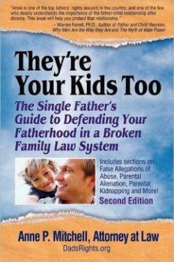 They're Your Kids Too: The Single Father's Guide to Defending Your Fatherhood in a Broken Family Law System