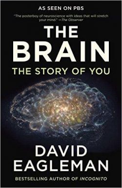 The Brain: The Story of You
