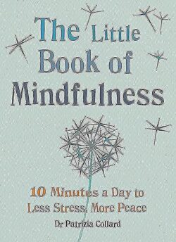 Little Book of Mindfulness: 10 Minutes a Day to Less Stress, More Peace