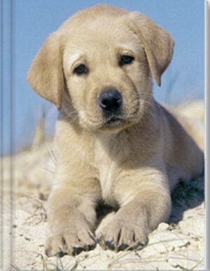 Dog Notebook (LG) - Blank Pgs/1 Ruled Sheet (HC)