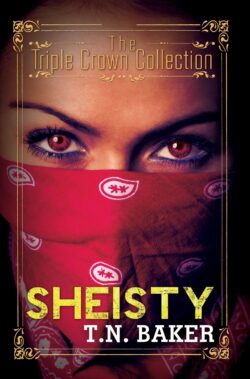 Sheisty Series 01