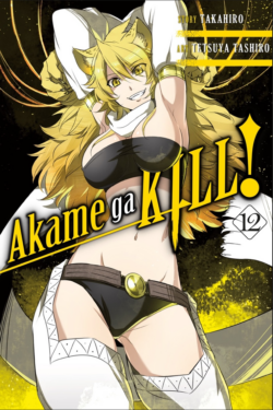 Akame Ga Kill!, Vol. 12