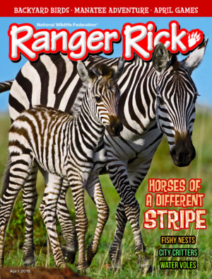 Ranger Rick (Kids/Ages 8-12)