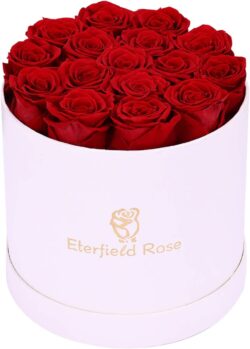 16 Glamorous Long-Lasting Preserved Roses - RED (Round)