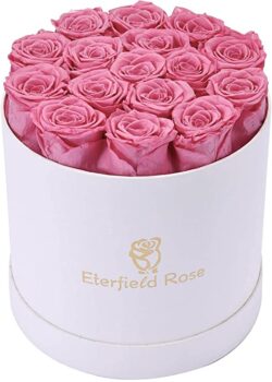 16 Glamorous Long-Lasting Preserved Roses - PINK (Round)