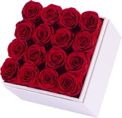 16 Glamorous Long-Lasting Preserved Roses - RED (Square)