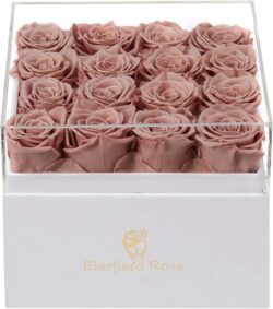 16 Glamorous Long-Lasting Preserved Roses - VINTAGE (Square)
