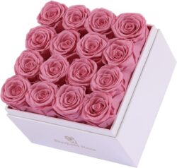 16 Glamorous Long-Lasting Preserved Roses - PINK (Square)