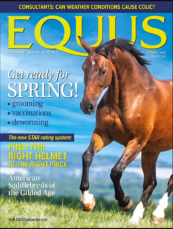 Equus