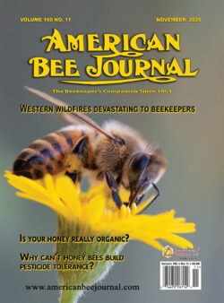 American Bee Journal