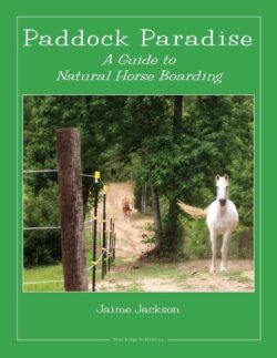 Paddock Paradise: A Guide to Natural Horse Boarding