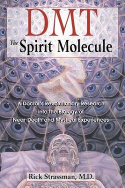 Dmt: The Spirit Molecule: A Doctor's Revolutionary Research Into the Biology of Near-Death and Mystical Experiences