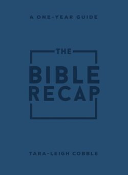 The Bible Recap: A One-Year Guide to Reading and Understanding the Entire Bible, Personal Size Imitation Leather