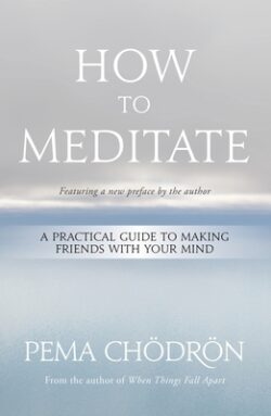 How to Meditate: A Practical Guide to Making Friends with Your Mind