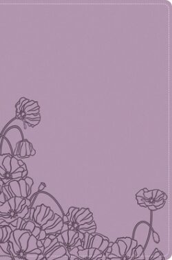 A Woman After God's Own Heart Bible