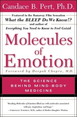 Molecules of Emotion: Why You Feel the Way You Feel