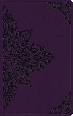 ESV Large Print Value Thinline Bible (Trutone, Lavender, Filigree Design)
