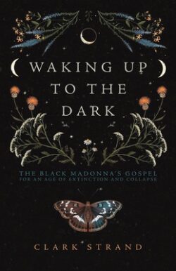 Waking Up to the Dark: The Black Madonna's Gospel for an Age of Extinction and Collapse