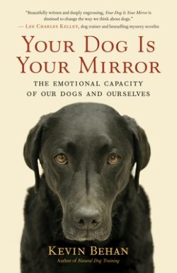 Your Dog Is Your Mirror: The Emotional Capacity of Our Dogs and Ourselves