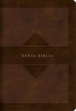 Rvr 1960 Biblia Letra Grande Tamaño Manual Edición Tierra Santa, Café Símil Piel Mass Market