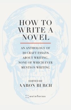 How to Write a Novel: An Anthology of 20 Craft Essays About Writing, None of Which Ever Mention Writing