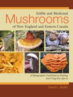 Edible and Medicinal Mushrooms of New England and Eastern Canada: A Photographic Guidebook to Finding and Using Key Species