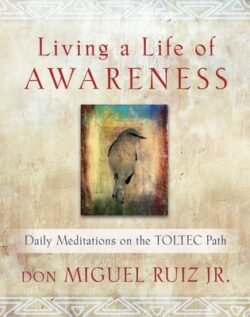 Living a Life of Awareness: Daily Meditations on the Toltec Path