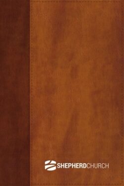 Niv, Giant Print Compact Bible, Leathersoft, Brown, Red Letter Edition, Comfort Print