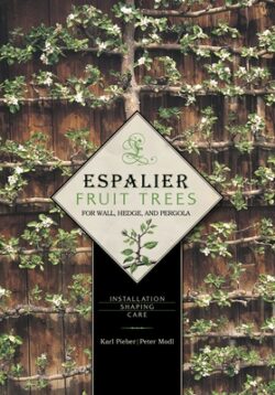 Espalier Fruit Trees for Wall, Hedge, and Pergola: Installation - Shaping - Care