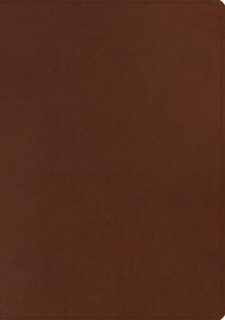 ESV Chronological Bible (Trutone, Brown)