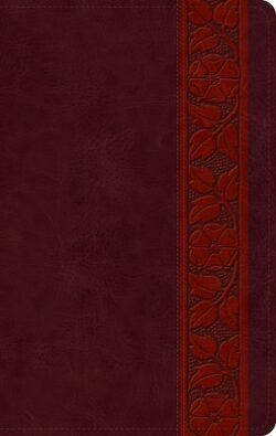 ESV Large Print Personal Size Bible (Trutone, Mahogany, Trellis Design)