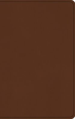 ESV Large Print Value Thinline Bible (Trutone, Camel)