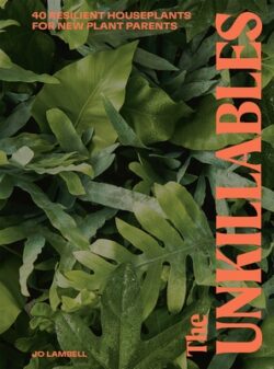 The Unkillables: 40 Resilient House Plants for New Plant Parents