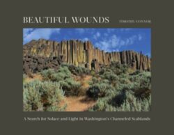 Beautiful Wounds: A Search for Solace and Light in Washington's Channeled Scablands